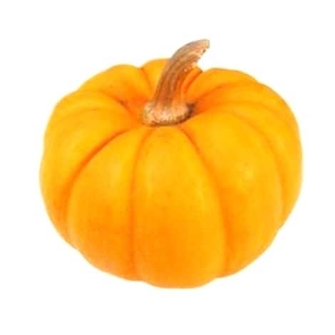 Pumpkin Big Size - GoMarket